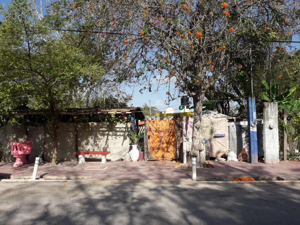 Hostal Y Camping Las G Bacalar Bagian luar foto